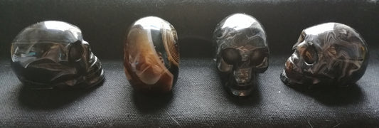 Banded Silk Agate Skull's
